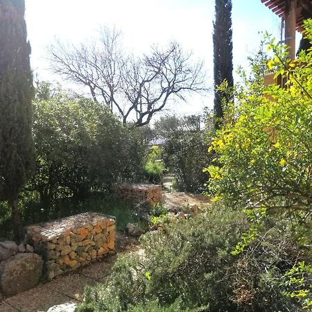 T2 36 M2, Rdc De Villa, Clim, Gd Jardin Clos, Animx Ok, Quartier Mt Faron Tres Calme, Wifi, Parking 툴롱 외부 사진